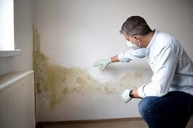 Best Air Quality Testing for Mold Spores  in East Norwich, NY